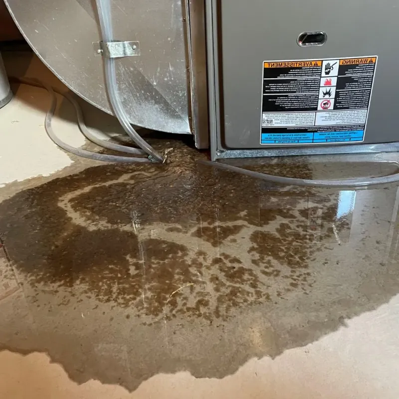 Pipe Burst and Leak Restoration in Stockbridge, GA